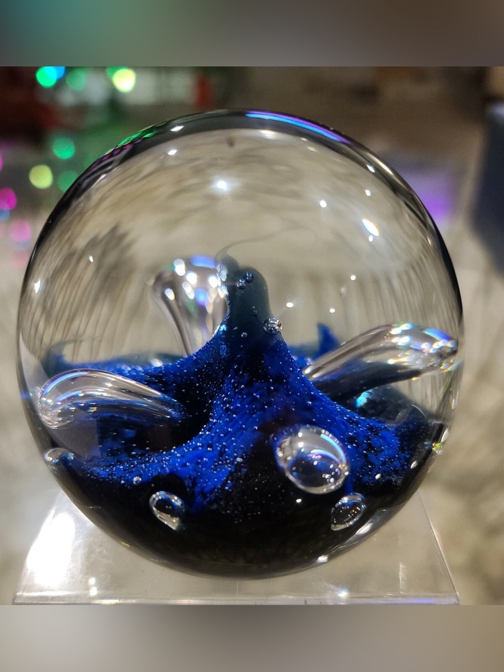 Caithness Scotland Moonflower Numbered Signed Ocean Sphere Paperweight